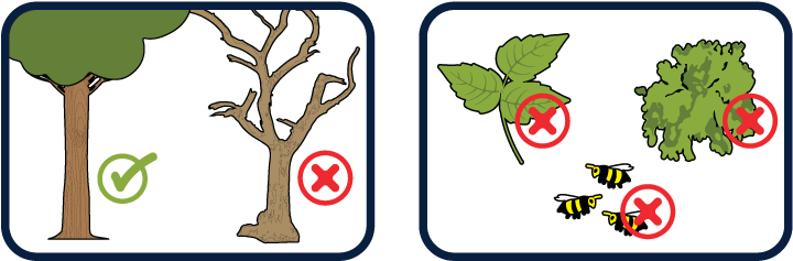 Don't Hang Your Hammock From Any Dead Trees (758x261), Png Download