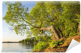 Landscape Of Picturesque Curve Of Green Tree Above - Landscape (400x400), Png Download
