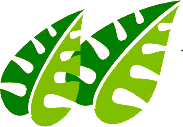 Jungle Adventure - Safari Leaf Clipart Png (618x429), Png Download