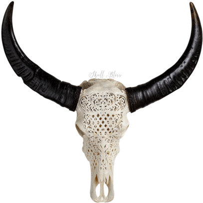 Buffalo Skulls - Skull (430x430), Png Download