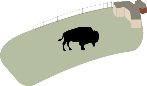 Buffalo - Brown Buffalo Silhouette Shower Curtain (500x293), Png Download