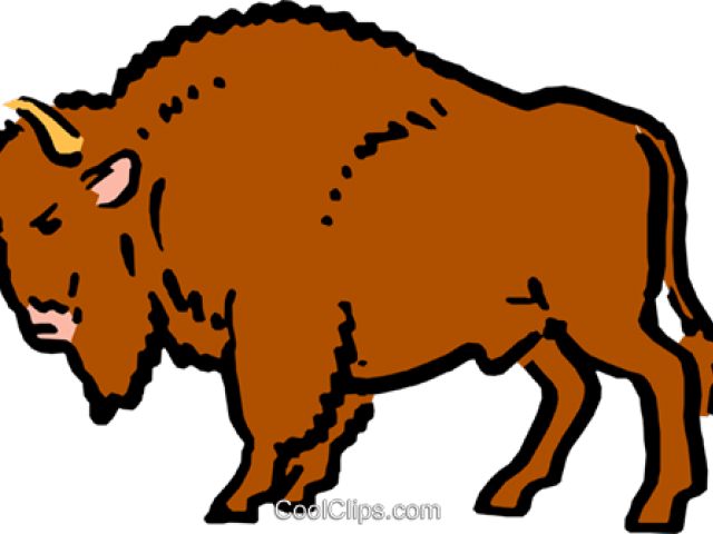 Buffalo Clipart Png - Dirty Buffalo (640x480), Png Download