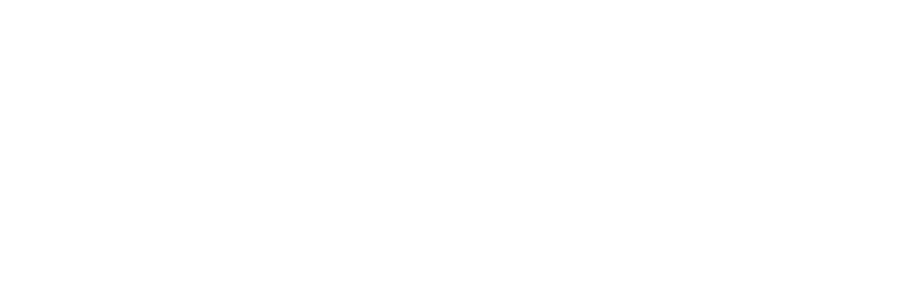 Race The Sun Logo On Transparent - Race The Sun (2998x913), Png Download