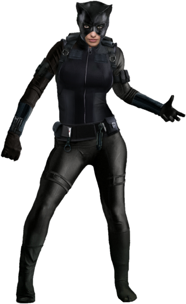 Catwoman Transparent Classic Picture Transparent Library - Sith Pose (742x1078), Png Download