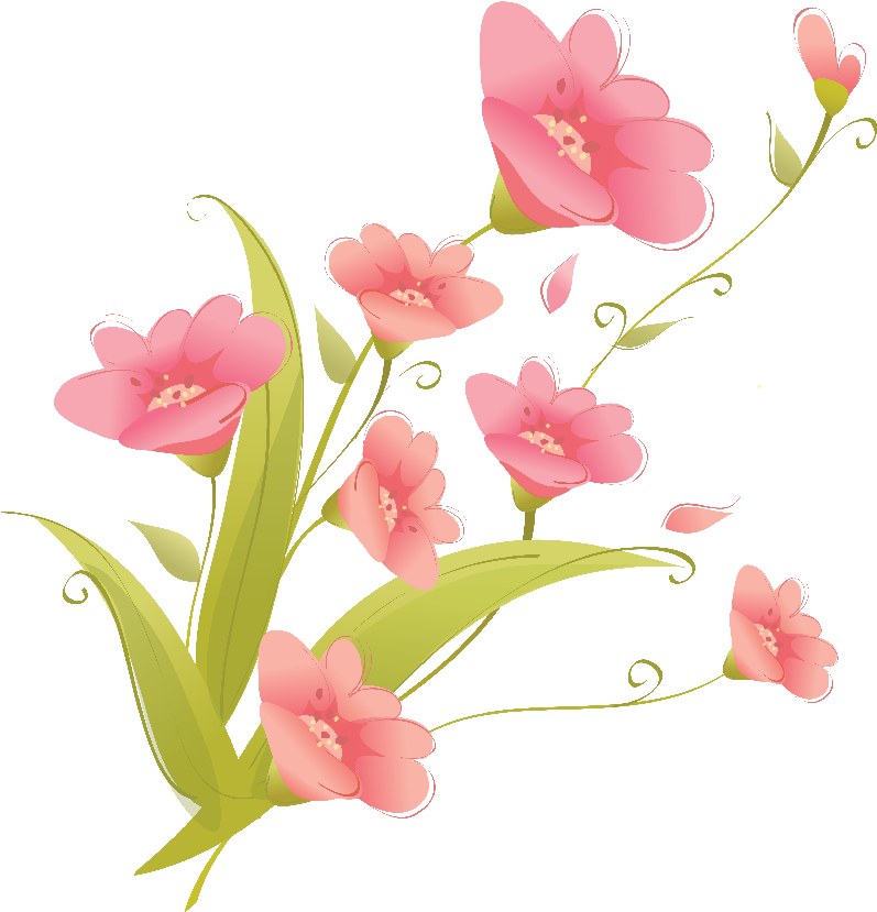 Flores Png Dibujos (800x837), Png Download