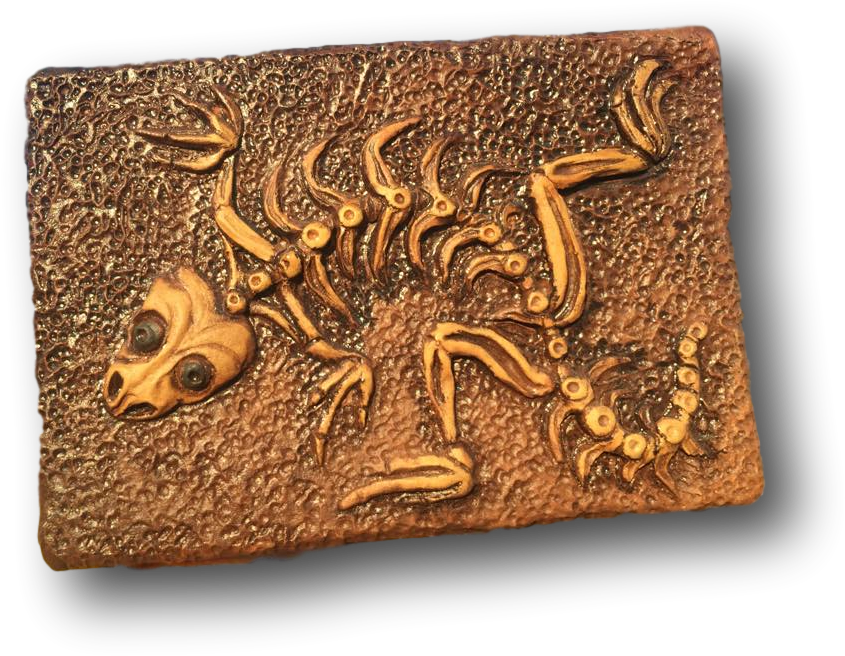 Lizza Dora Lizard Fossil - Child (903x904), Png Download