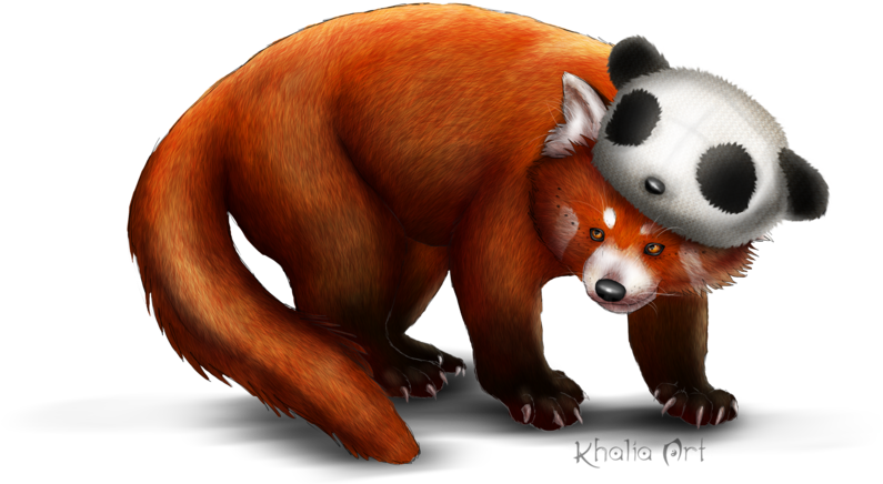 Red - Red Panda (900x581), Png Download