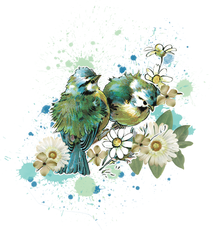 Фото, Автор Mashanbear На Яндекс - Love Bird Water Color (774x800), Png Download