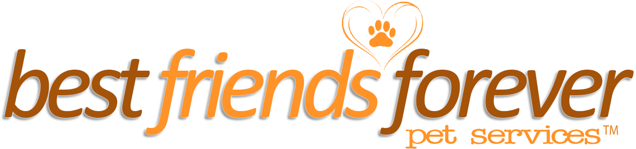 Forever 21 Logo Png For Kids - Png Text Friends Forever (1292x367), Png Download
