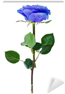 Blue (400x400), Png Download