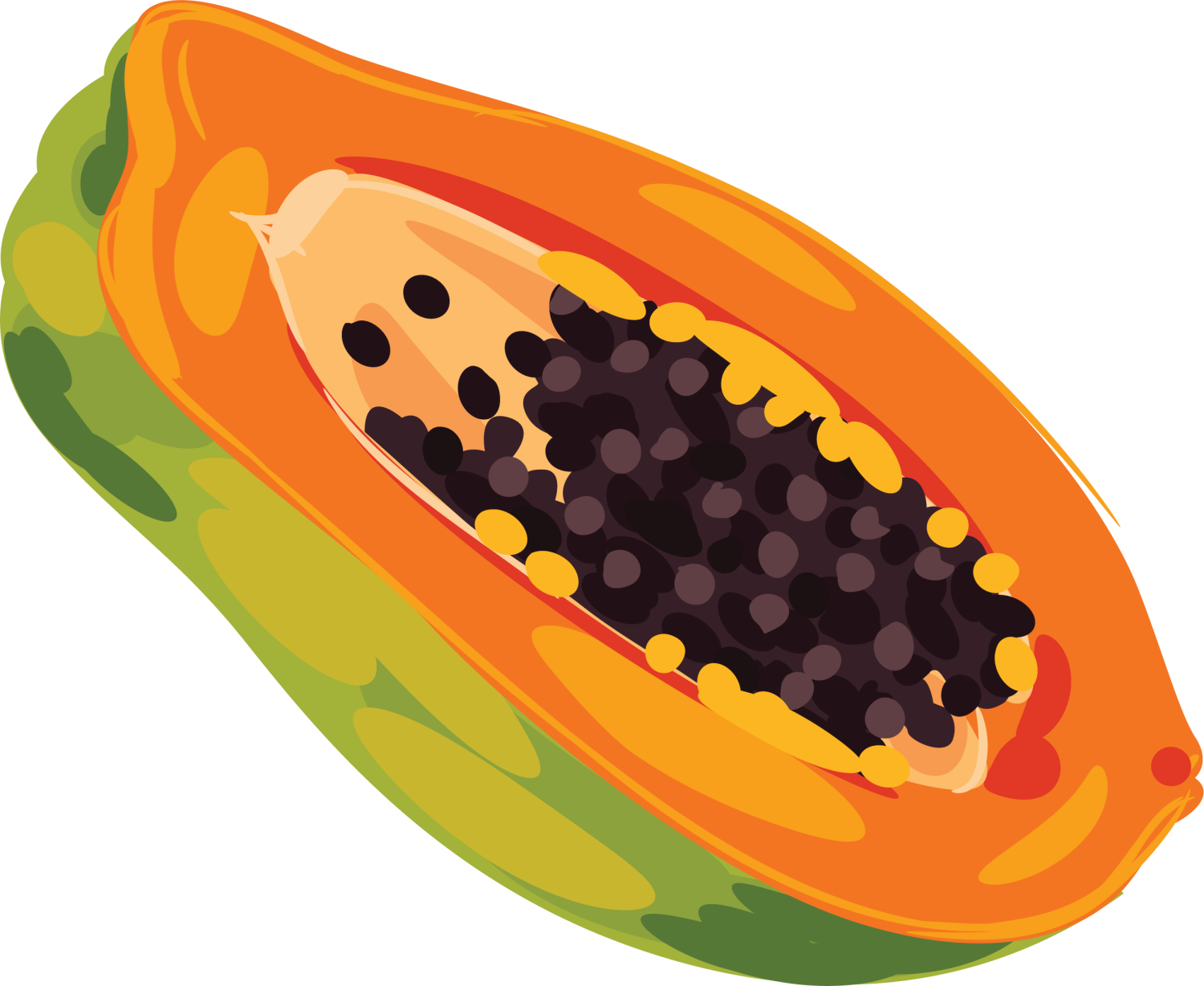 Picture Freeuse Fruit Clip Art Yellow Hand Painted - Papaya Clipart (1500x1228), Png Download
