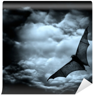 Bat Flying In The Dark Cloudy Sky Wall Mural • Pixers® - Gothic Horror Themes (400x400), Png Download