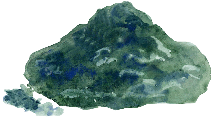 Soy Protein, Cannabis Seeds, Spirulina - Food (699x389), Png Download