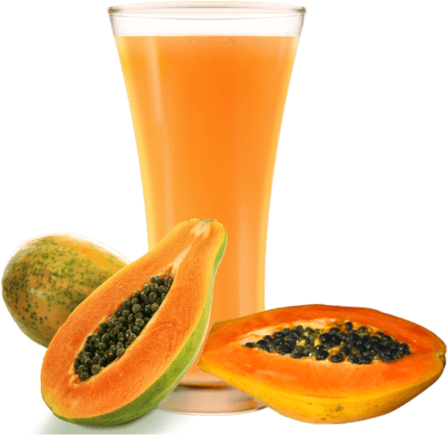 Papaya Juice - Hirt's Gardens Tainung Papaya Tree - Carica Papaya (300x460), Png Download