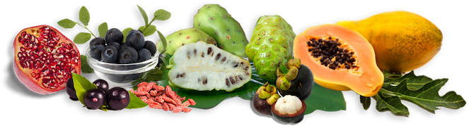 Papaya Recipes For Your Baby - Bilberry (700x267), Png Download