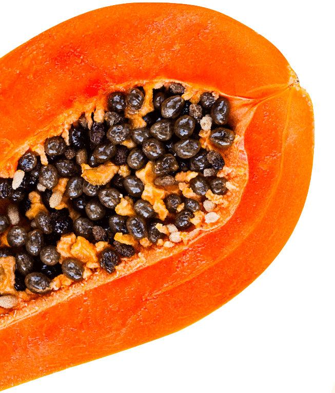 Papaya (653x766), Png Download