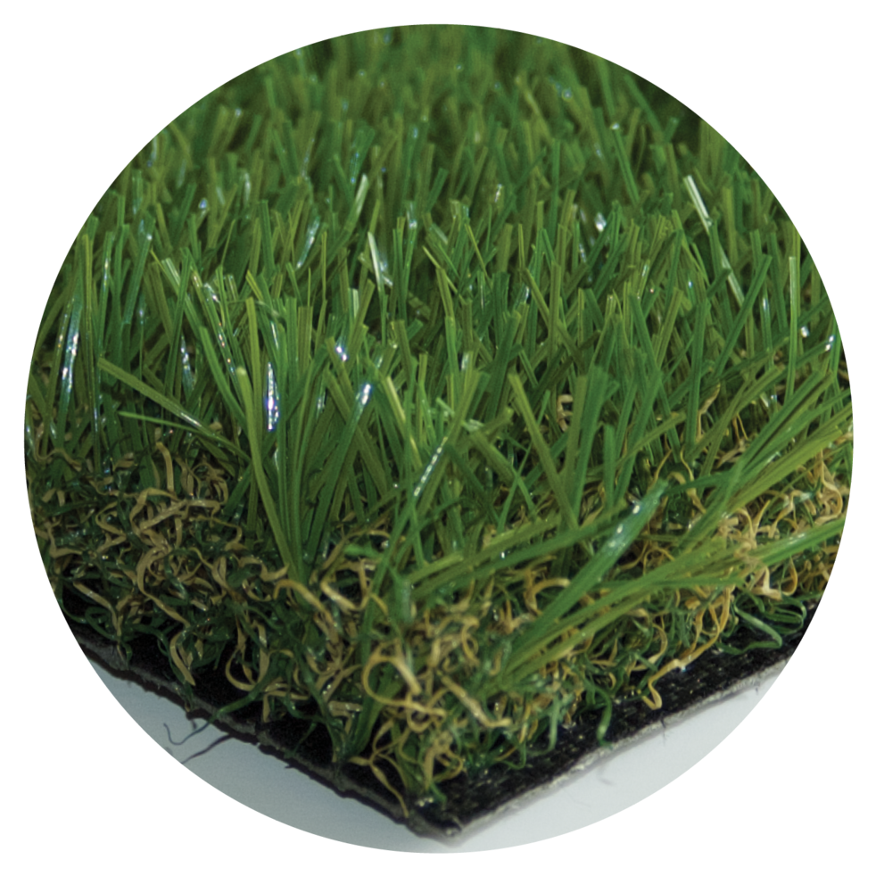 Eco Grass (1000x1000), Png Download