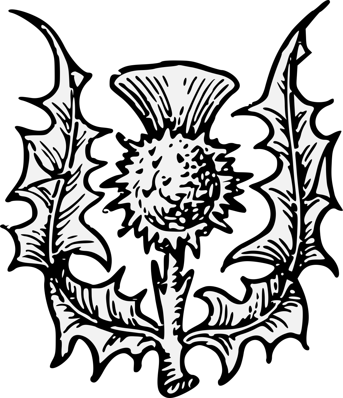 Details, Png (1133x1312), Png Download