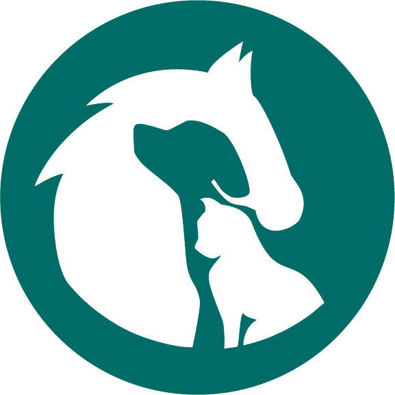 Animal (577x577), Png Download