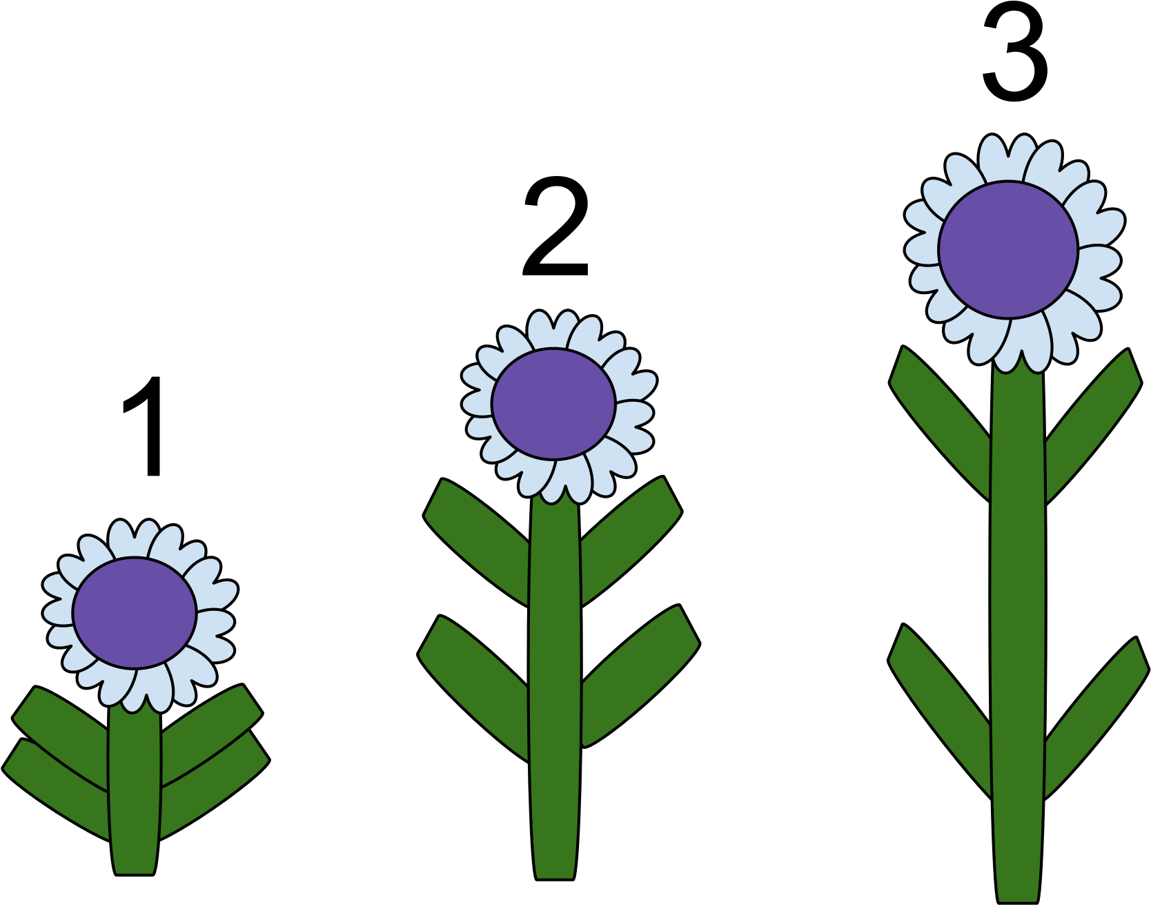 Gibberellins Definition Biology (1668x1311), Png Download