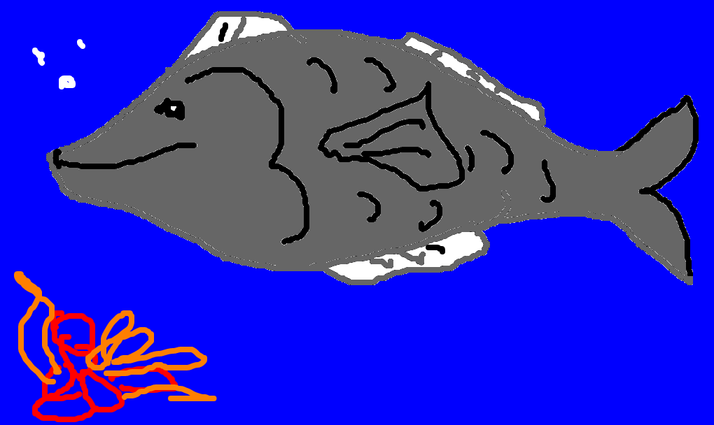 Peixe (1020x608), Png Download