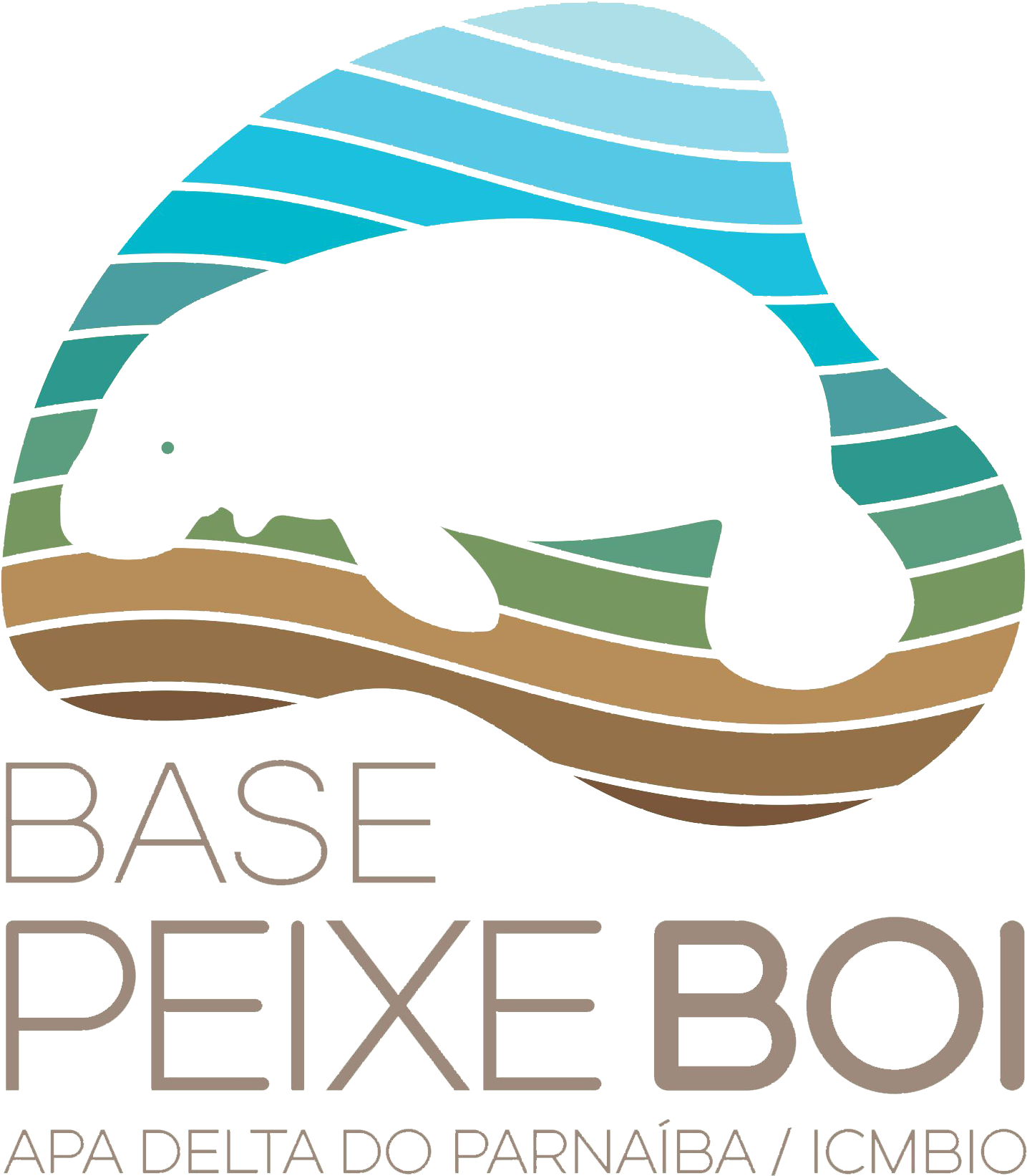 Base Peixe-boi (1448x1663), Png Download