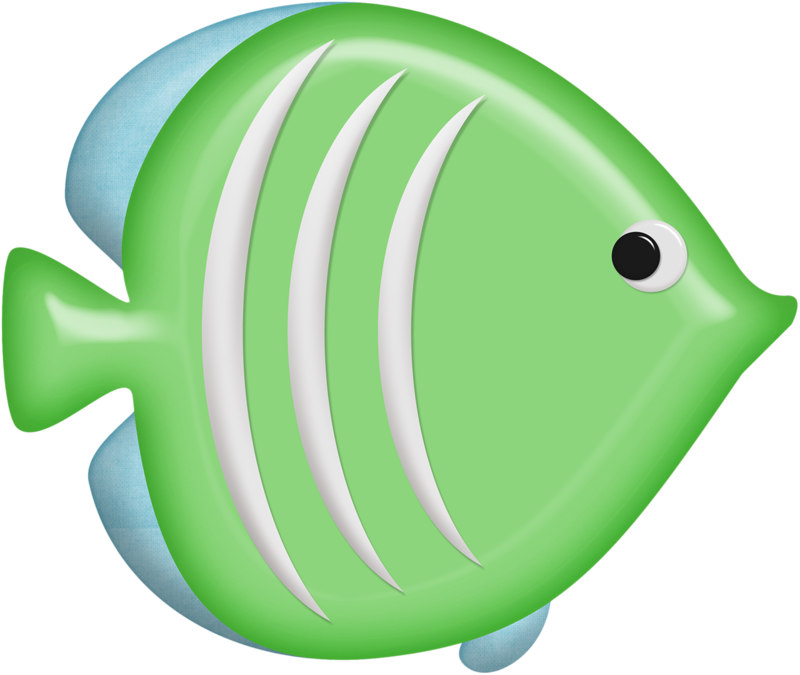 ○•‿✿⁀ocean Safari‿✿⁀•○ (800x675), Png Download