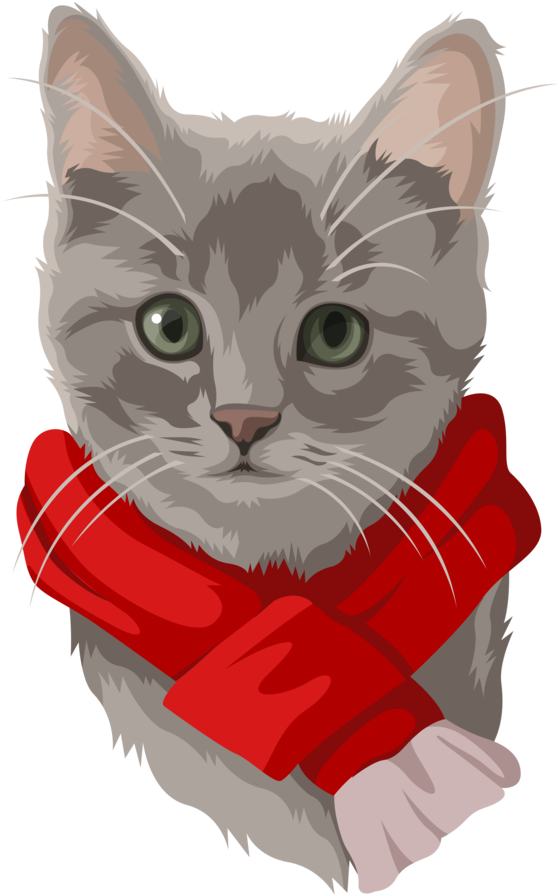 Furry & Bright Holiday Cards, Set Of (1000x1000), Png Download