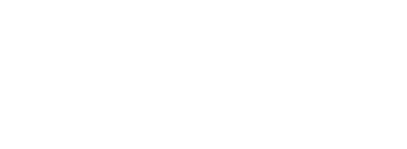Schultz Motors (1200x300), Png Download