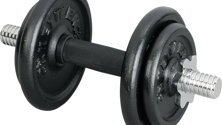 Dumbbells Clipart Bench Press Bar (748x421), Png Download