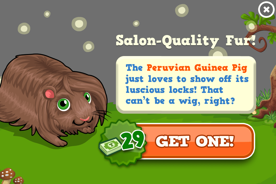 Peruvian Guinea Pig Modal (960x640), Png Download