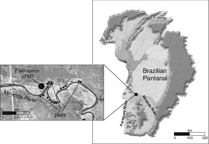 Location Of The Study Plots Within The Brazilian Pantanal (676x468), Png Download