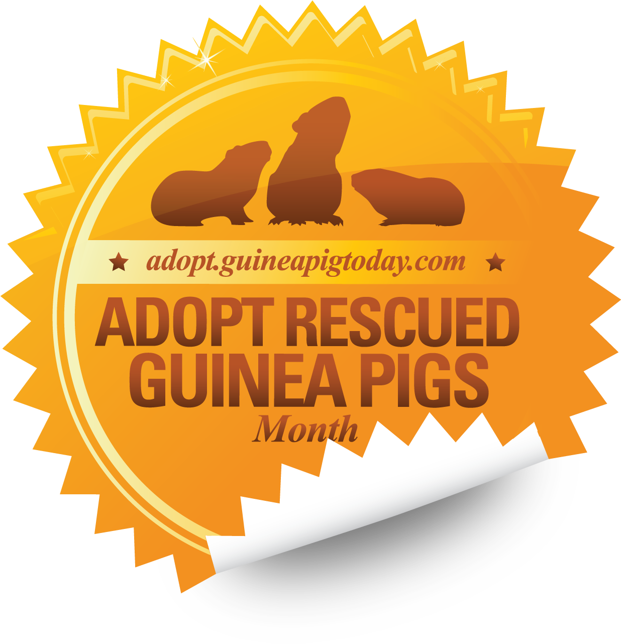 Adopt Rescued Guinea Pigs Month (1391x1318), Png Download