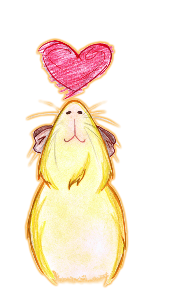 #meerschweinchen #kunst #meersau #guinea #pig #art (748x1068), Png Download