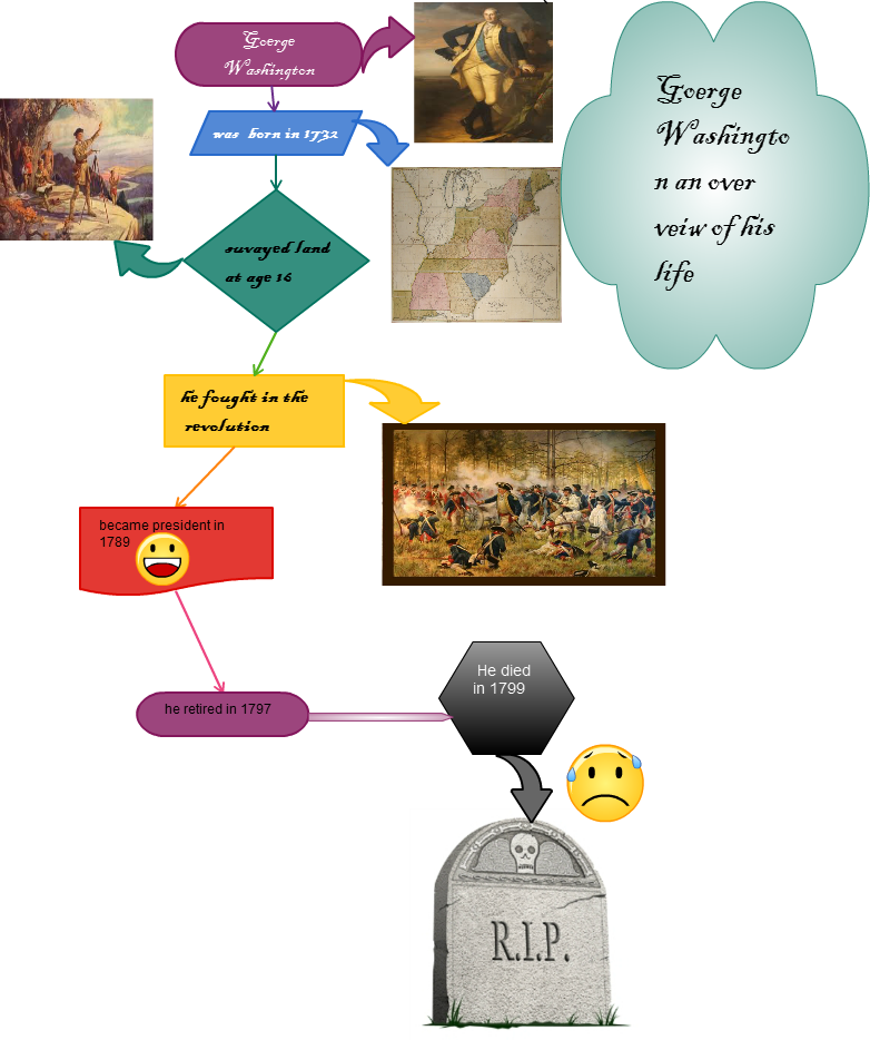 I Used Cacoo To Create My Infogrphic Because It Was (782x934), Png Download