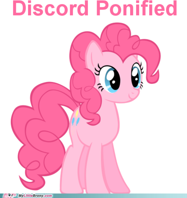 Discord Mlp Png (600x635), Png Download