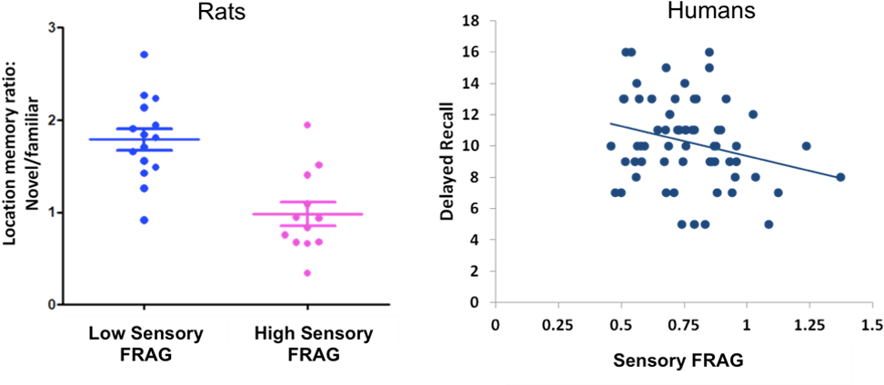 Additionally, Increased Maternal Sensory Frag Predicts (999x436), Png Download