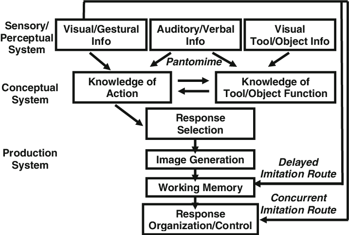 The Conceptual-production Model Of Limb Apraxia (717x482), Png Download