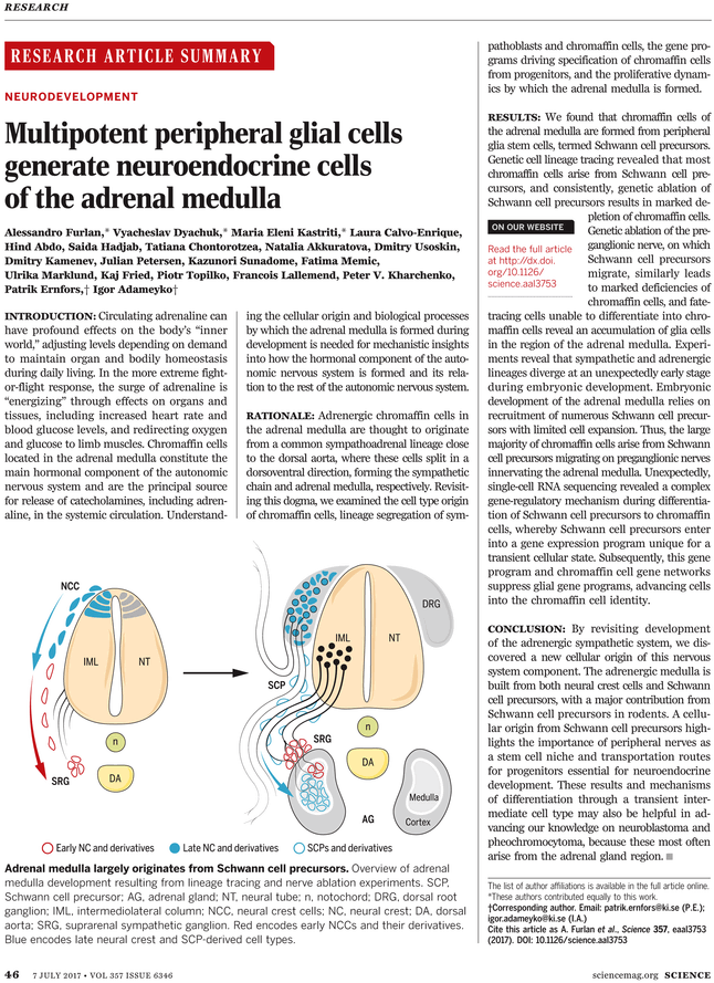 Ki Blast Png (729x929), Png Download