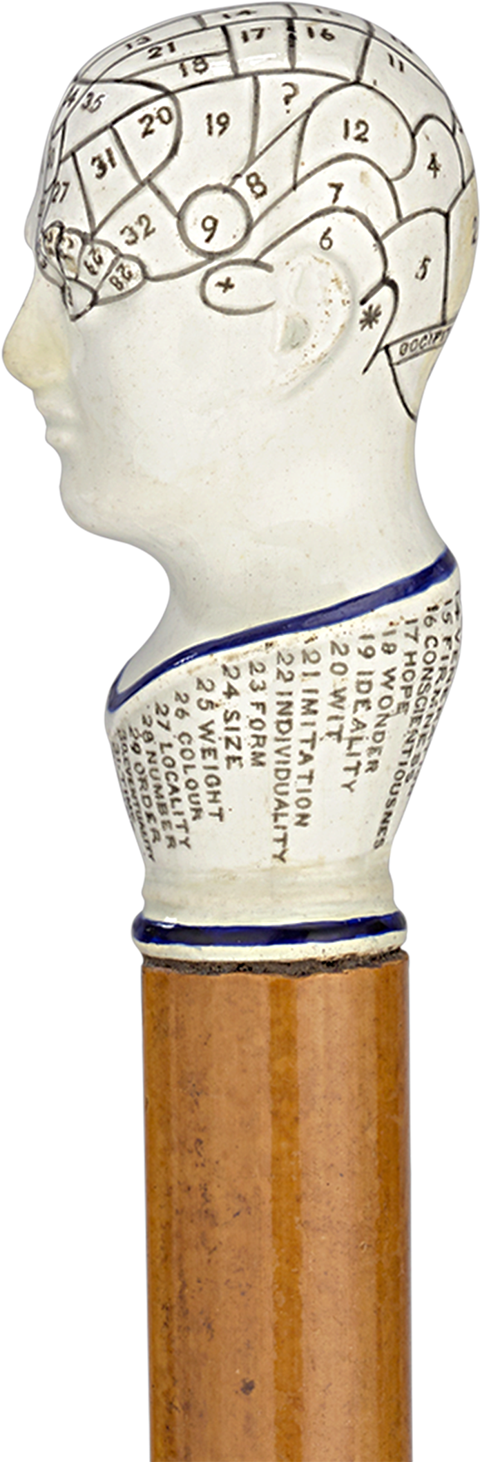 White Porcelain Phrenology Cane (2000x2500), Png Download