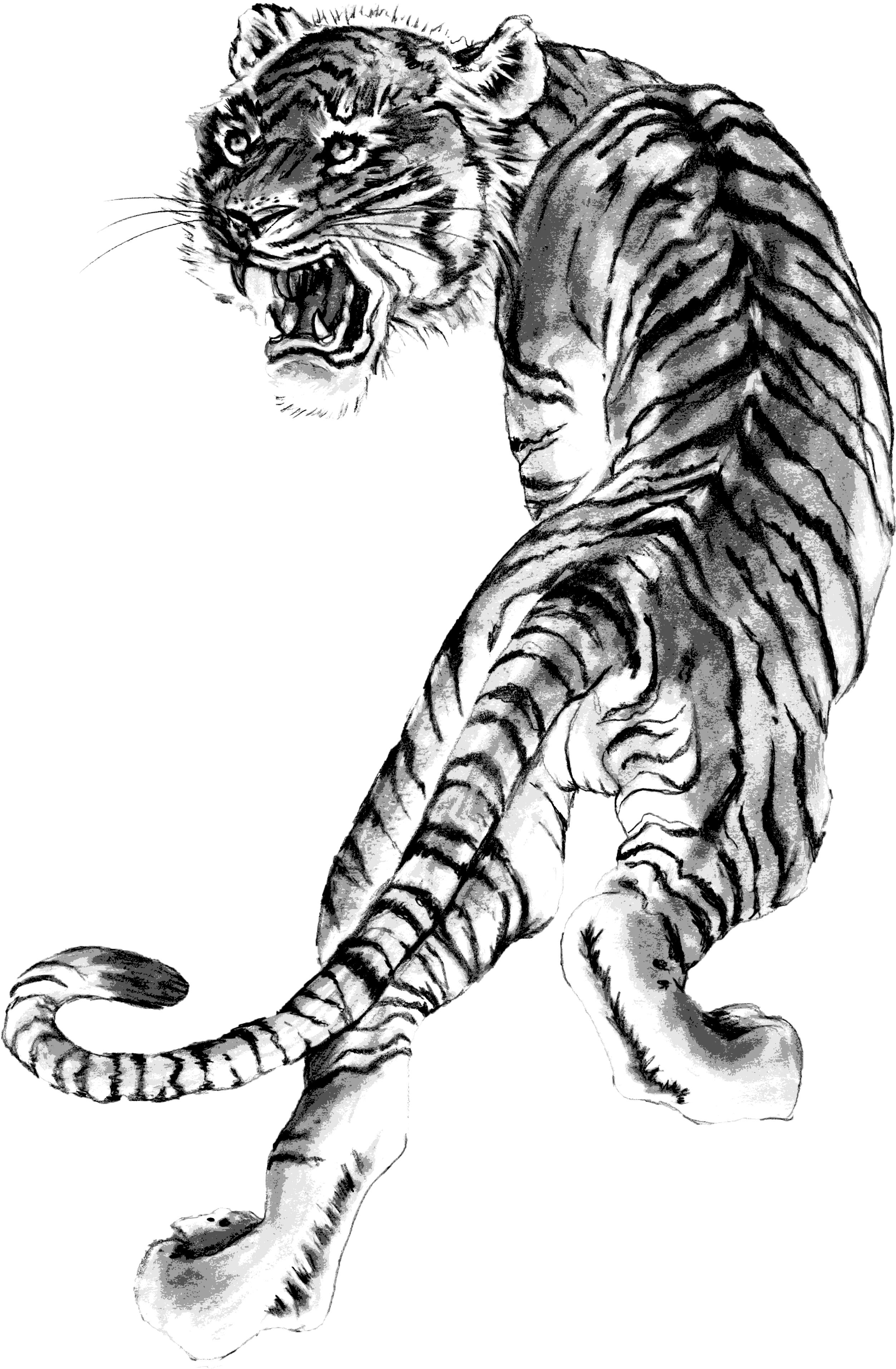 Black Belt Program (2506x3828), Png Download