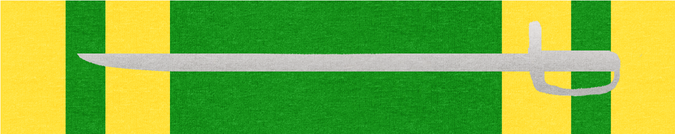 Air Force Hawk Medal, 2nd Class Sa (1372x345), Png Download