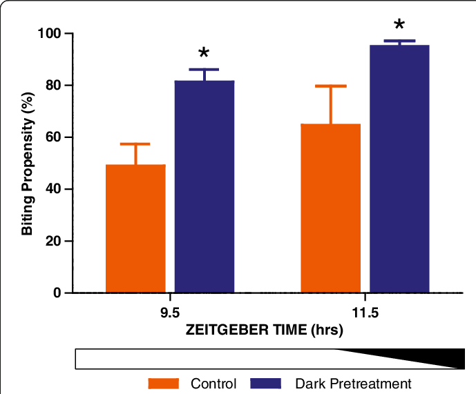 Mosquitoes Exposed To Darkness During The Late Daytime (689x571), Png Download