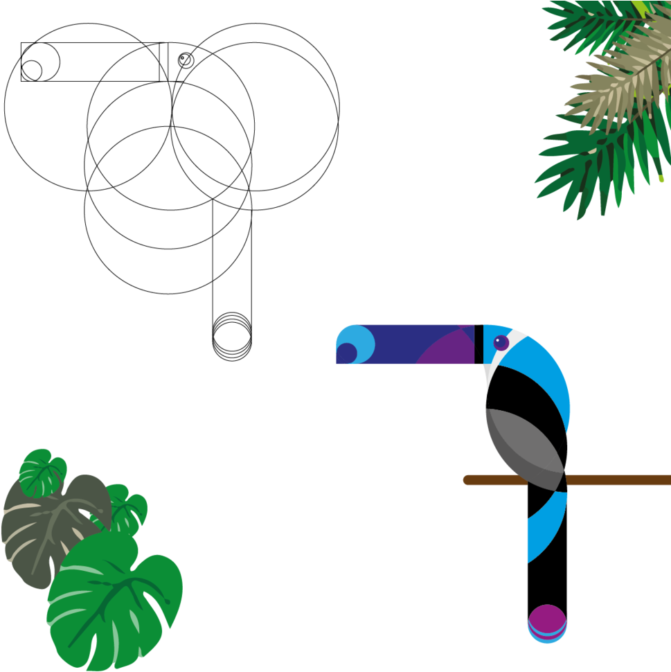 Tucan 2-08 (1000x1000), Png Download