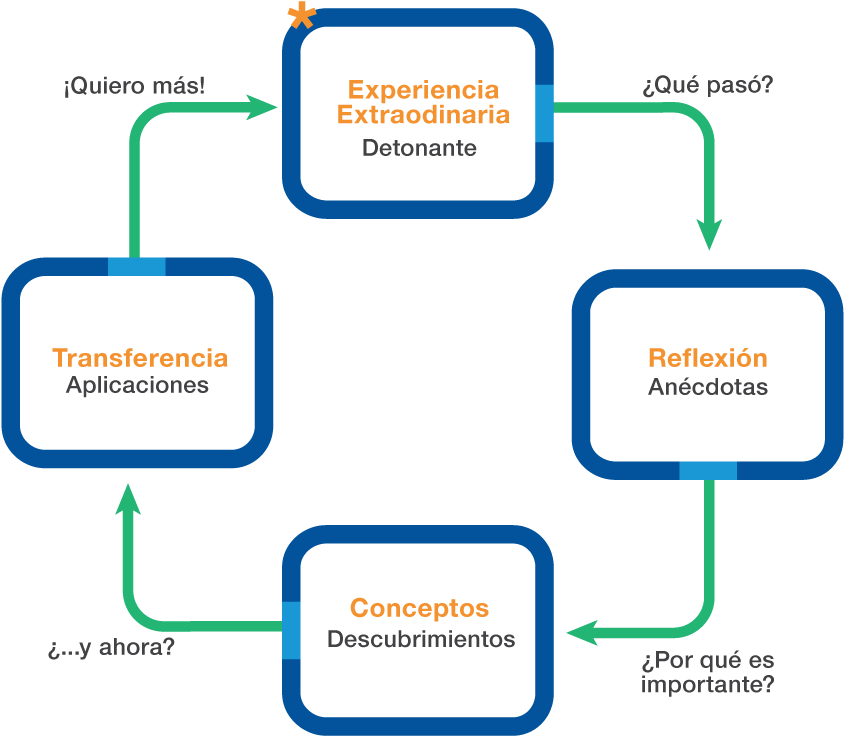 Modelo De Educación Experiencial (900x758), Png Download