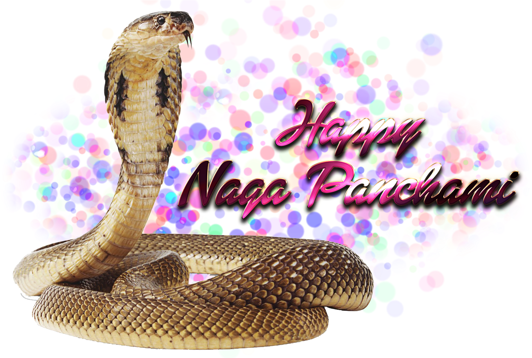 Naga Panchami Transparent Free Png (1920x1200), Png Download