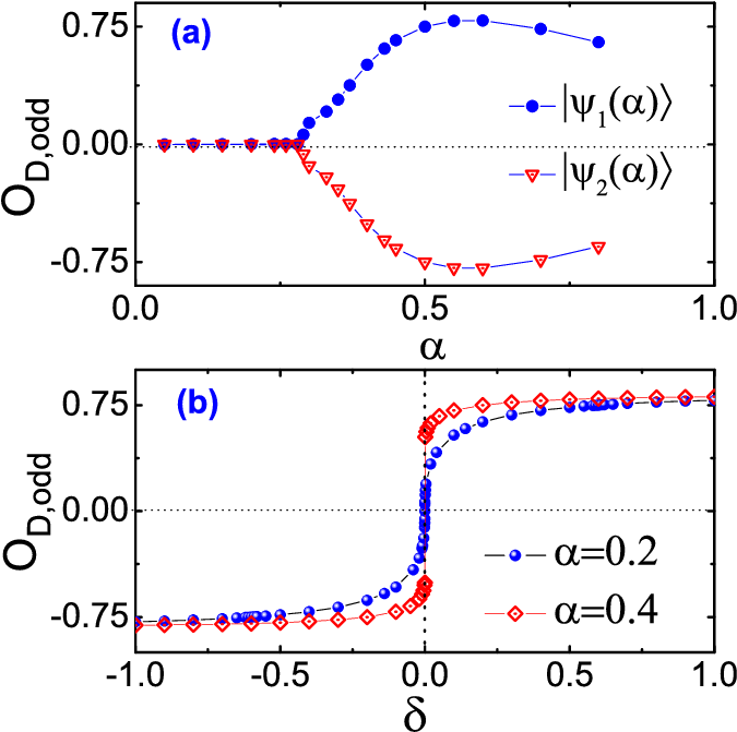 Odd Dimer Order O D,odd For The Spin 1/2 Dimerized (689x689), Png Download