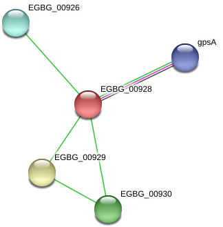 Egbg 00928 Protein (976x365), Png Download