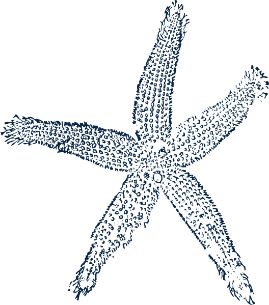 Starfish Prints Single Blue Svg Clip Arts 528 X 599 (528x599), Png Download