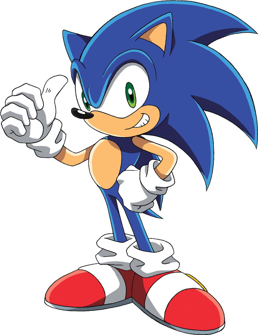 The Sonic Show By Spikehedgelion8 Cast (915x1181), Png Download